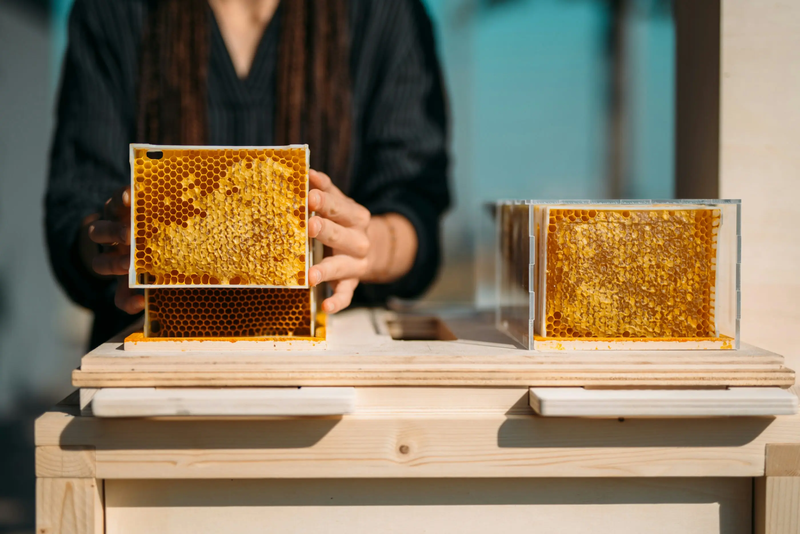 New Zealand Manuka Honey Production